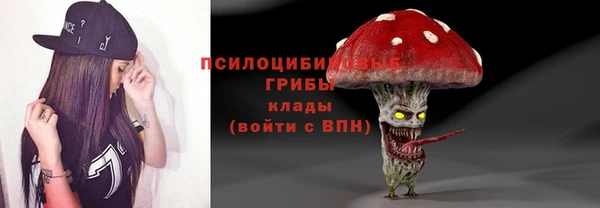шишки Аркадак