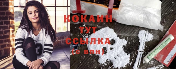 шишки Аркадак